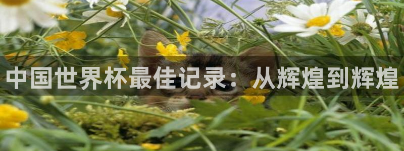 亚洲区世界杯预选赛:中国世界杯最佳记录:从辉煌到辉煌