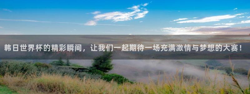 2026年世界杯赛程时间表格:韩日世界杯的精彩瞬间,让我们一起期待一场充满激情与梦想的大赛!