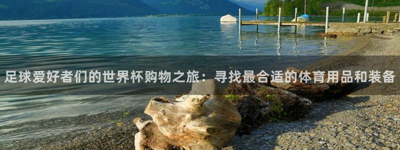 2026足球世界杯:足球爱好者们的世界杯购物之旅:寻找最合适的体育用品和装备