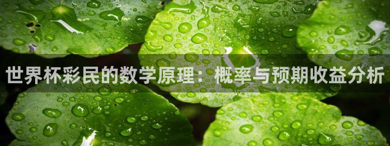 世界杯直播免费观看:世界杯彩民的数学原理:概率与预期收益分析