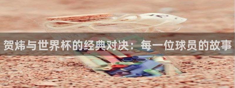 世界杯预选赛赛程:贺炜与世界杯的经典对决:每一位球员的故事