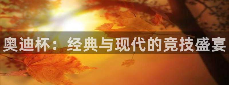 2026世界杯倒计时:奥迪杯:经典与现代的竞技盛宴