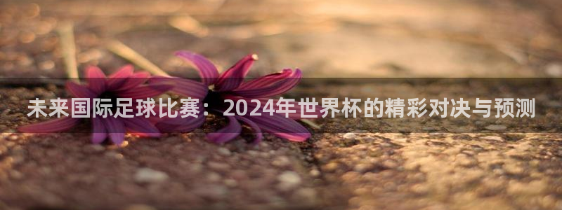 世预赛赛程表:未来国际足球比赛:2024年世界杯的精彩对决与预测