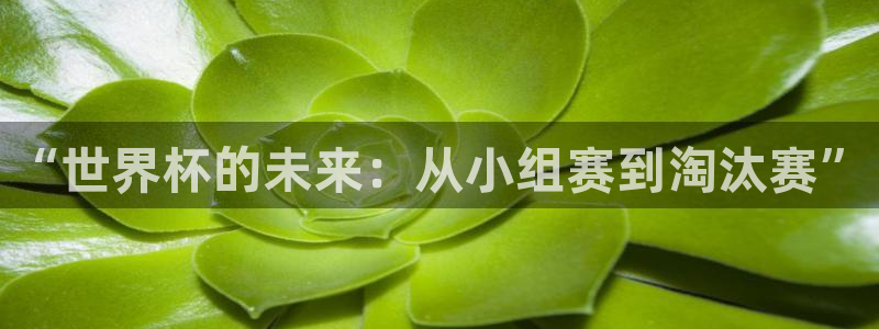 世界杯预选赛排名:“世界杯的未来:从小组赛到淘汰赛”
