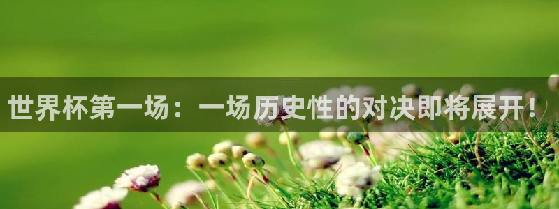 2026年世界杯对阵图:世界杯第一场:一场历史性的对决即将展开!