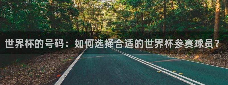 世界杯球队:世界杯的号码:如何选择合适的世界杯参赛球员?